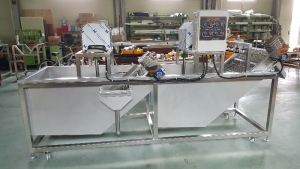 2조식자동버블세척기/절임배추세척기/농산물세척기/과일세척기/초음파세척기/버블세척기 *